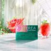 【加熱煙】日版 T牌 TEREA 加熱菸 IQOS ILUMA系列專用 (台灣口味1300清倉價)  整條出售